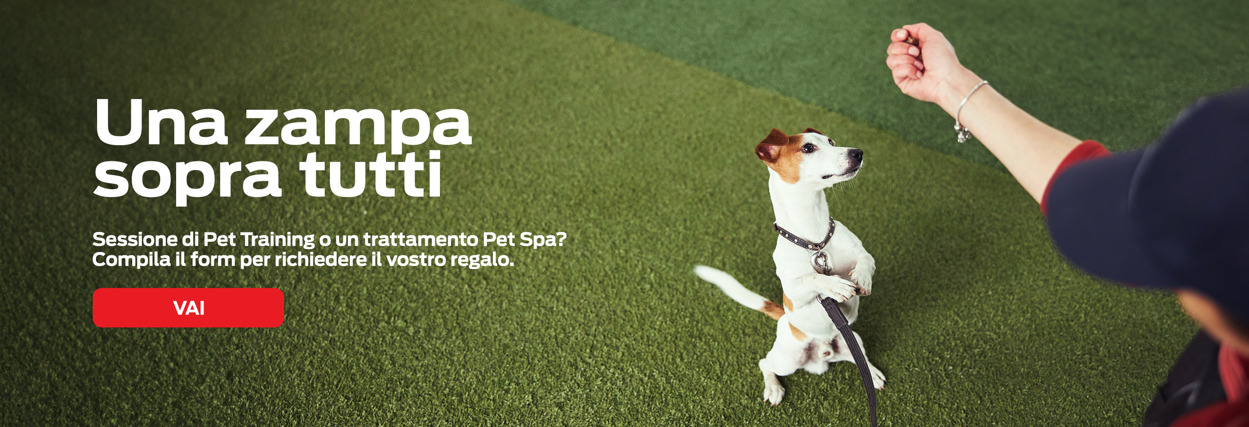 KV_SITO_PETSPA2