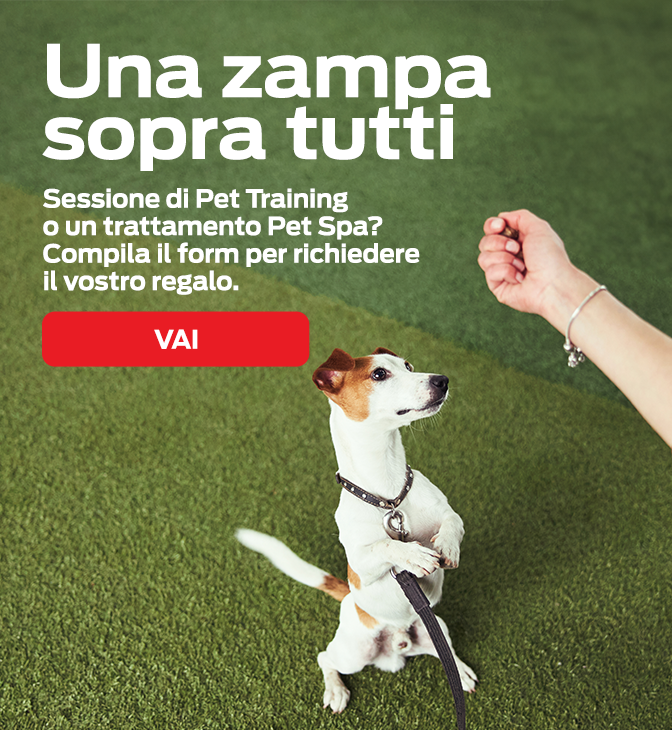 KV_SITO_PETSPA_MOBILE