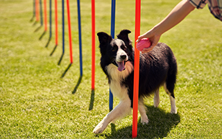 shutterstock_1817357840