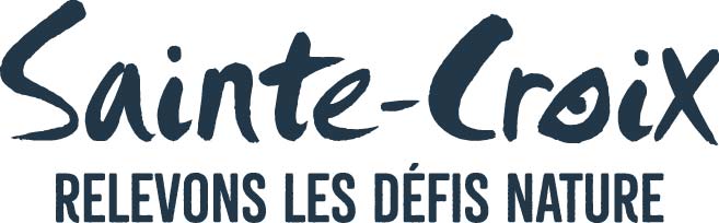 logo-defis-nature bleu