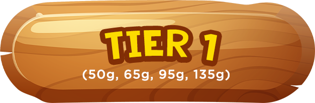 Tier 1