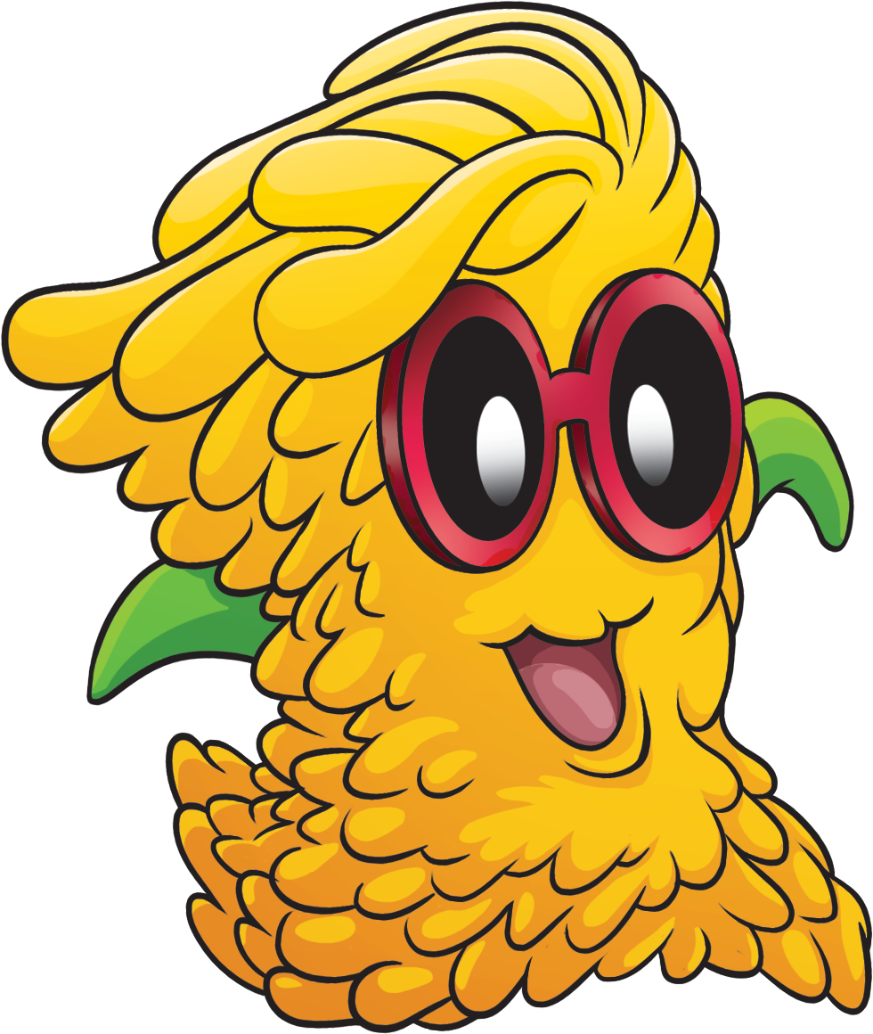 Amamelide_CORRE_NERA