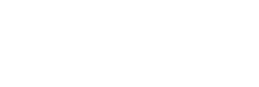 Asset 41