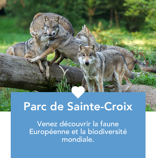 CDC_DETAIL_STE_CROIX-640x652-MOB
