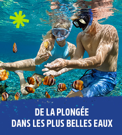voeu_Plongee