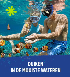 voeu_Plongee_NL