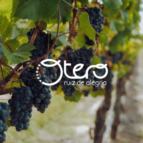 16_OTERO BODEGA