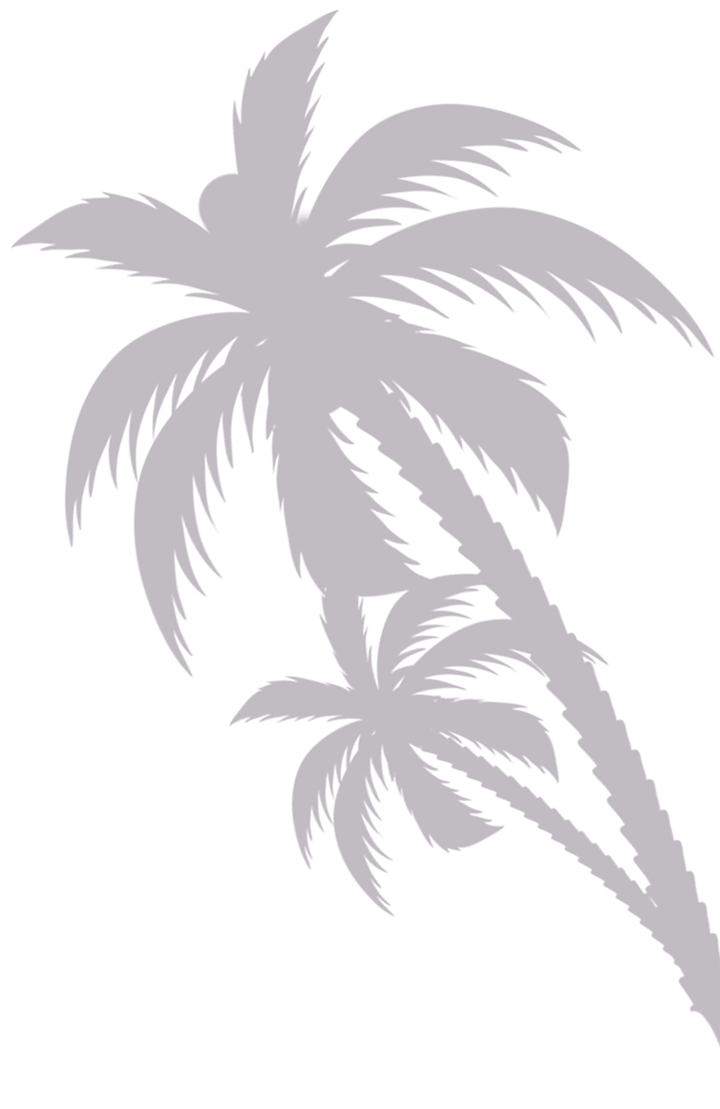 Right Palm