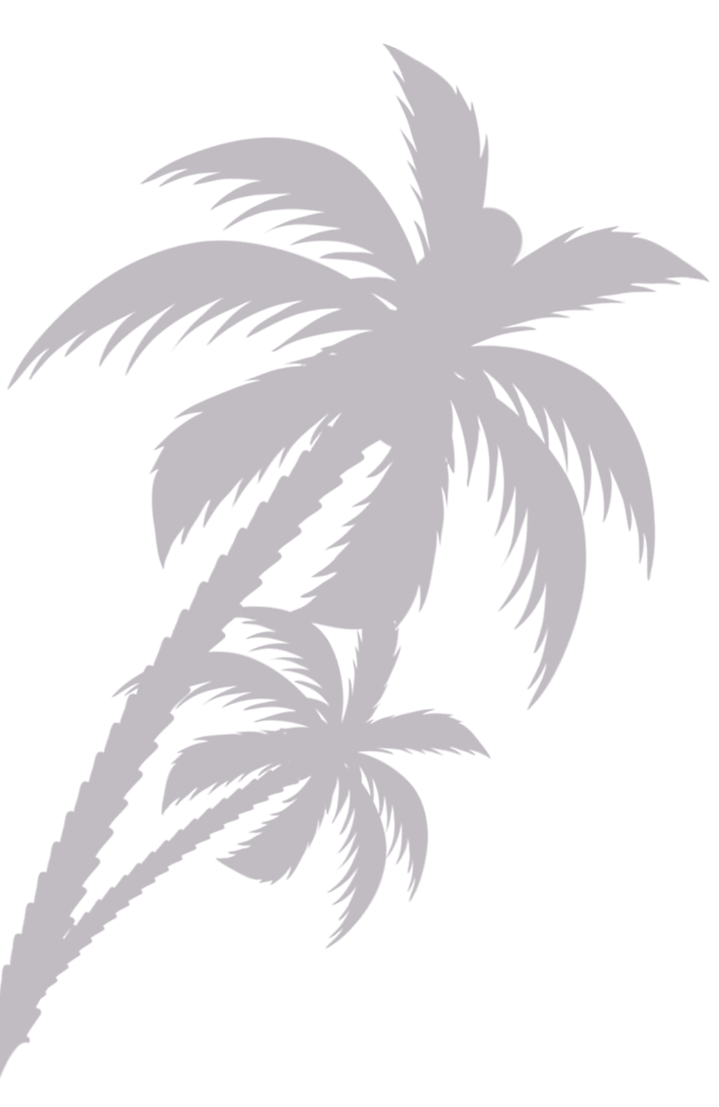 Left Palm