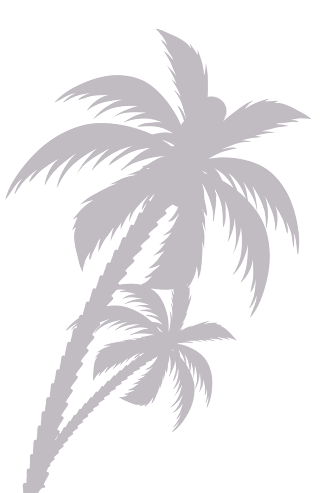 Palms