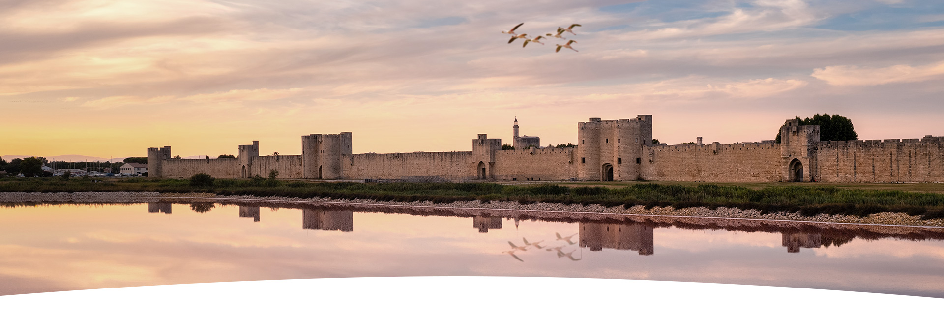 Saunier_banner_1447x575px_AUTRES
