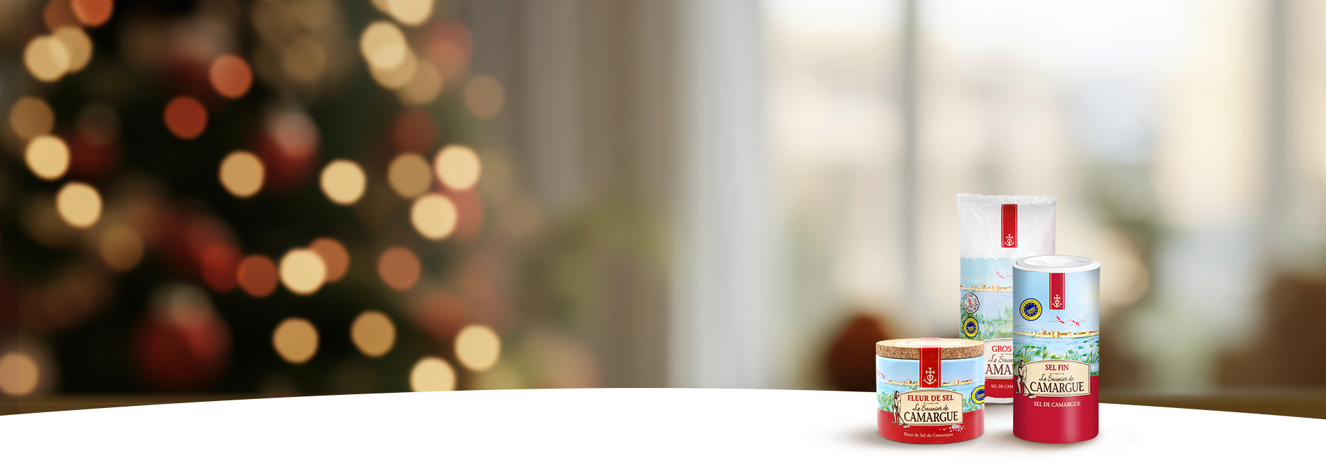 BANNER_SDCAM_TF2_WEB_interne