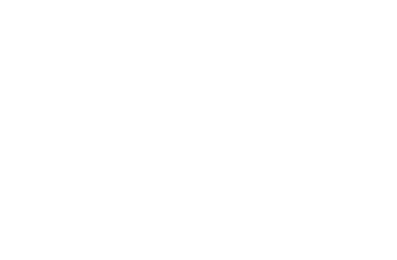 logo_DS