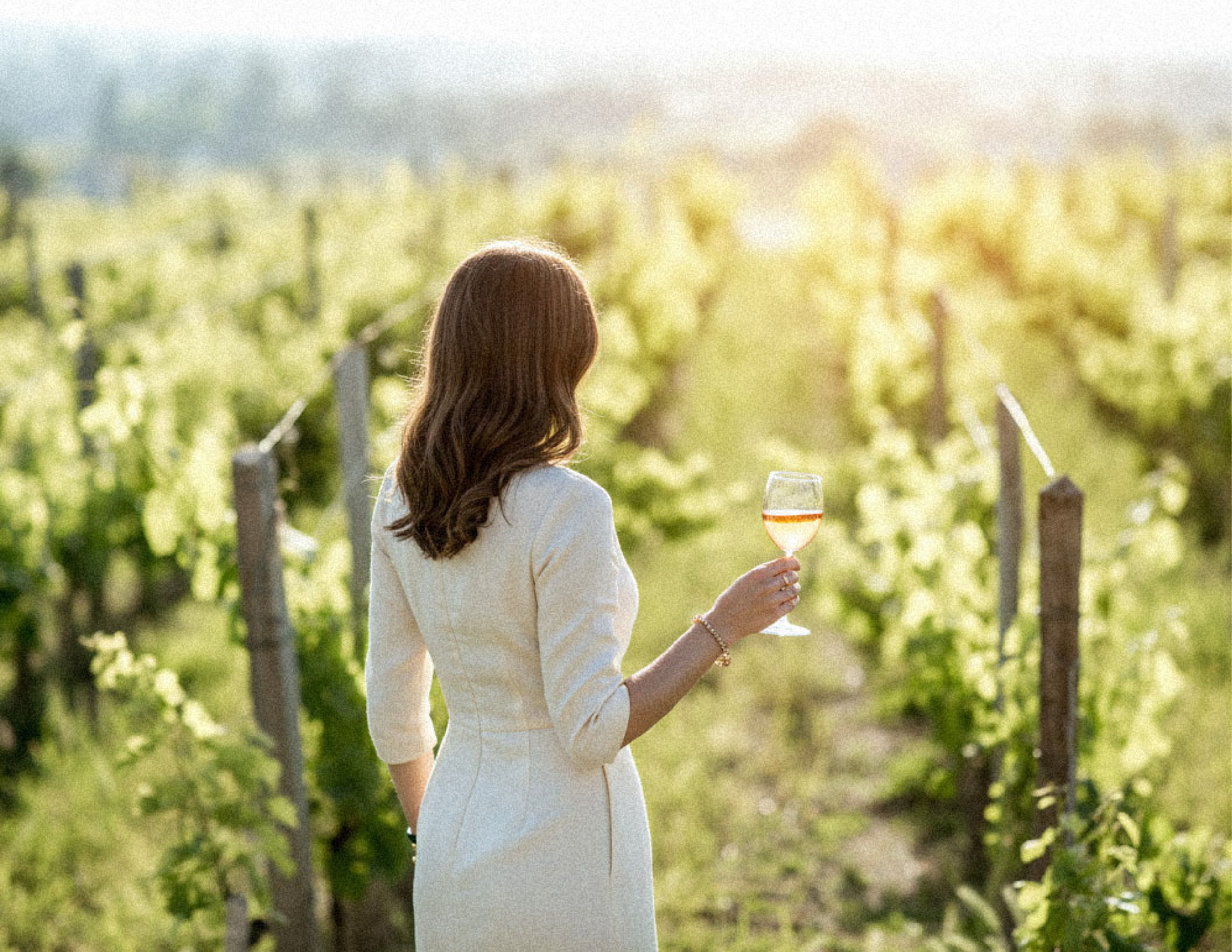 Banners_Carrussel_DS8_banners_estadias_1 copy 5