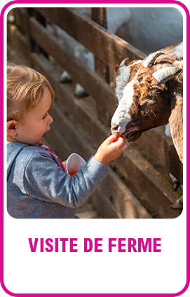 activite-ferme