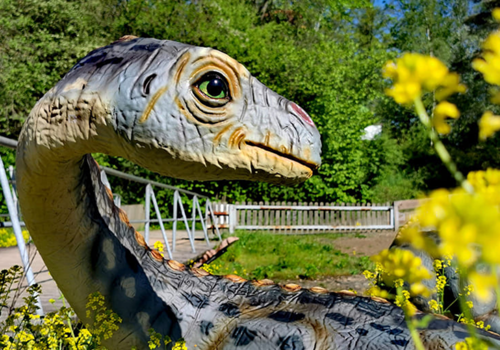 Dinopark_cropped