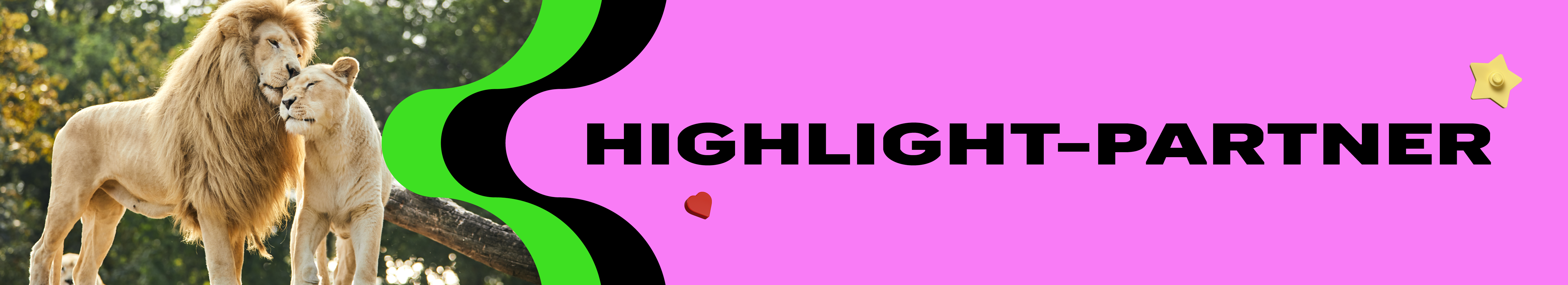 150126_LEGO_TIER_SMALLHEADER_1920x350_NEU3