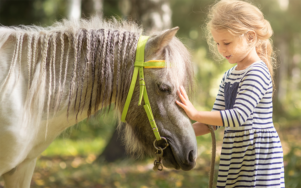 281125_LEGO_TIER_Tierbilder_800x5004