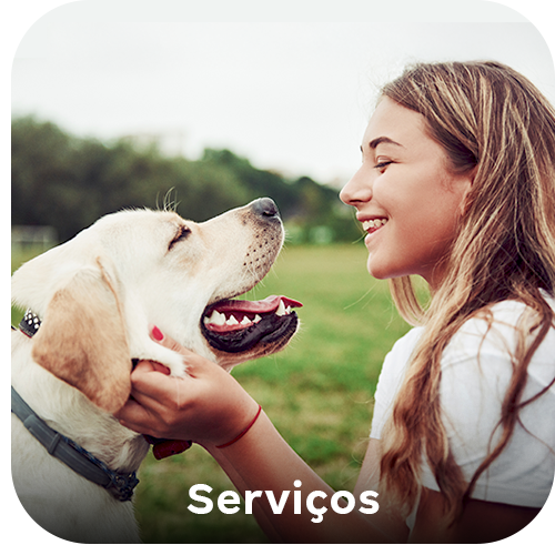 Serviços