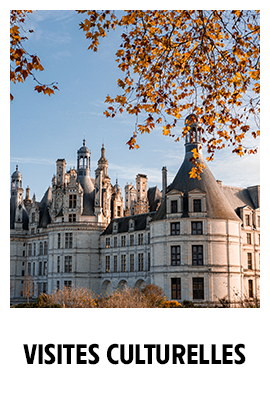 visuel-visite-culturelle