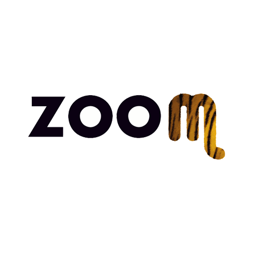 ZOOM