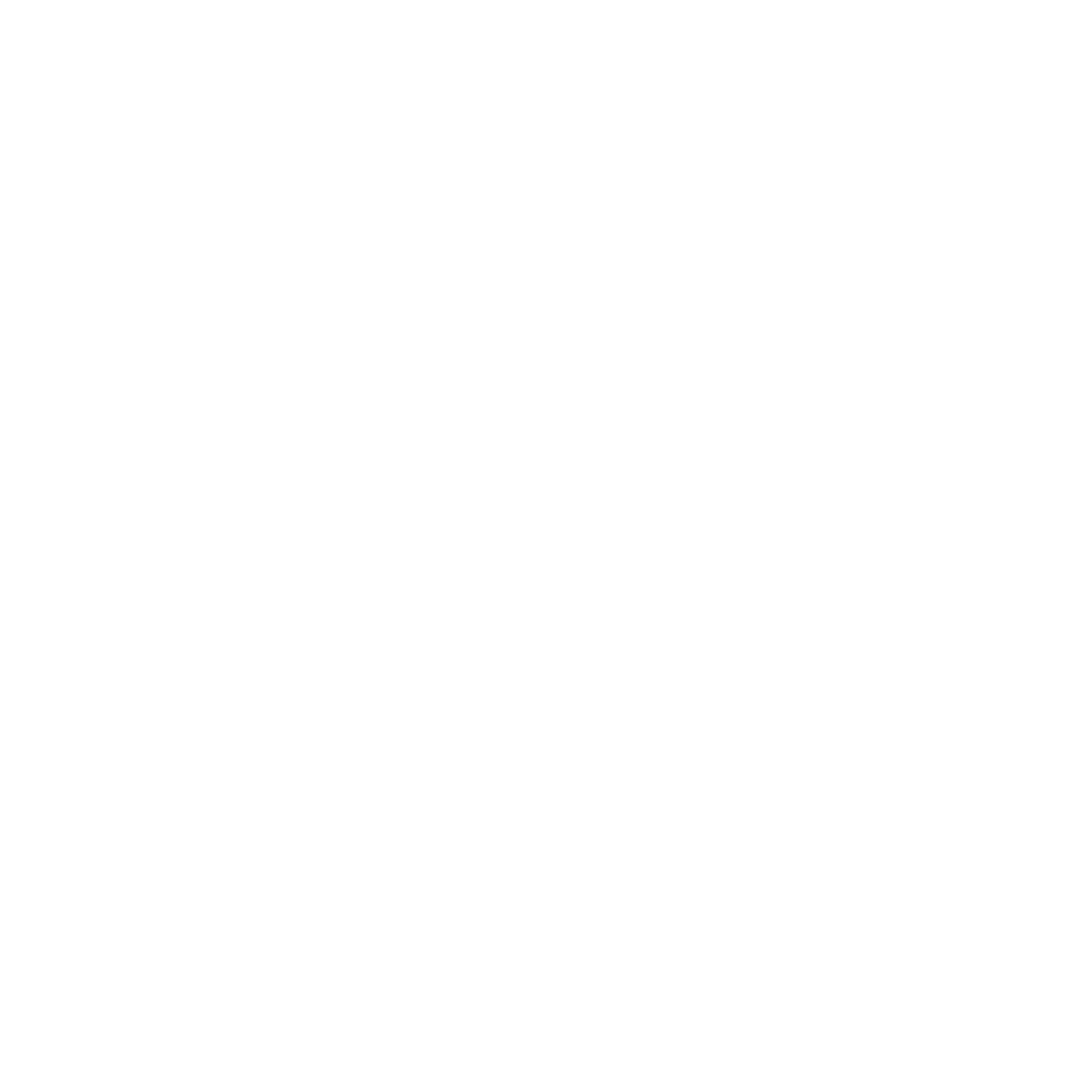 icon_logo_white
