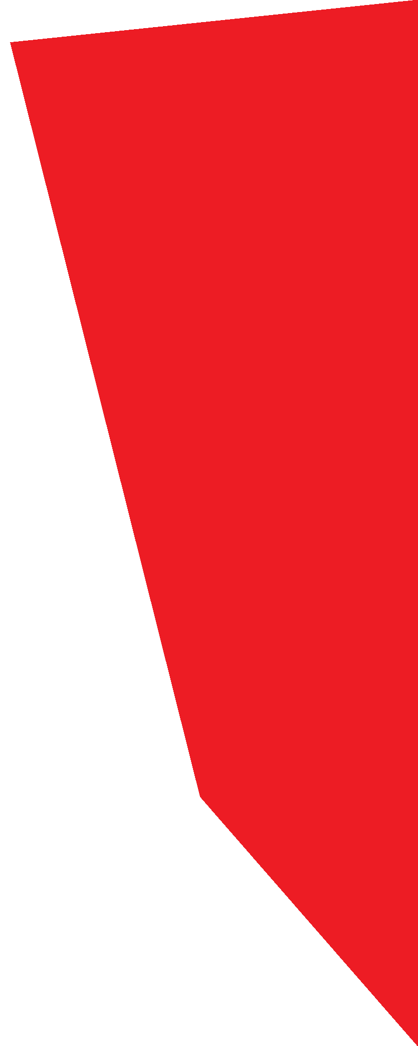 CityShapes_Left Red