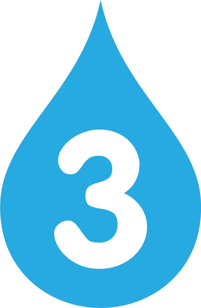 3