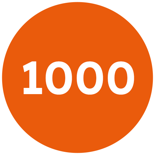 1000_icona