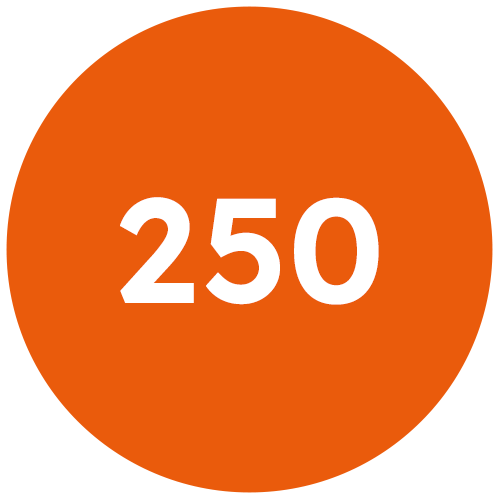 250_icona