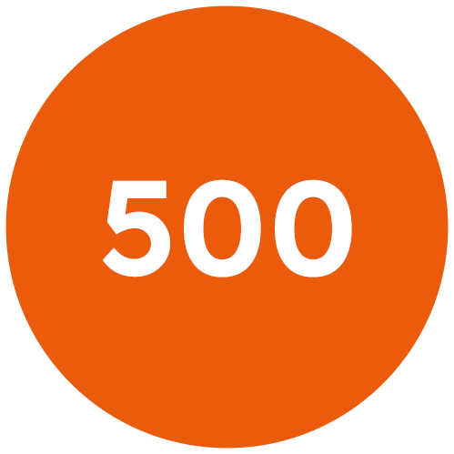500_icona