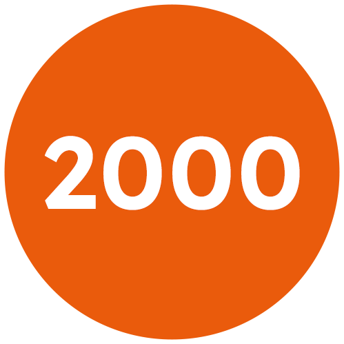 2000_icona