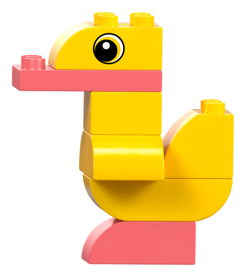 Duck turned