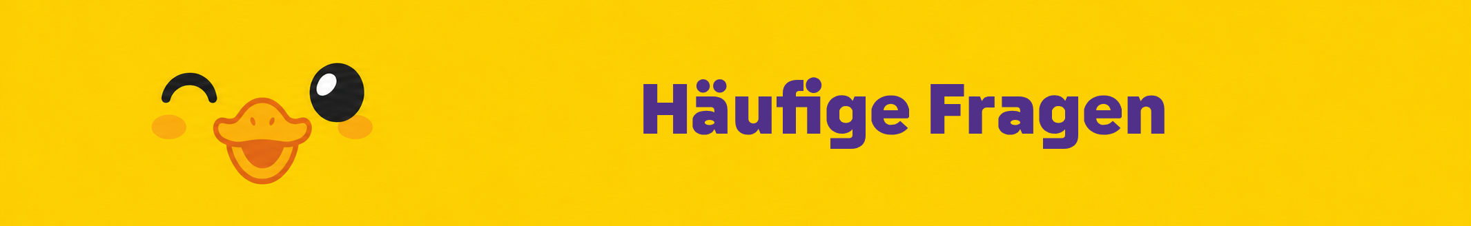 DUPLO FAQ Header v2