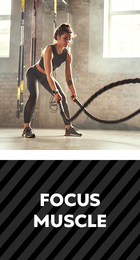 FOCUS MUSCLE_02