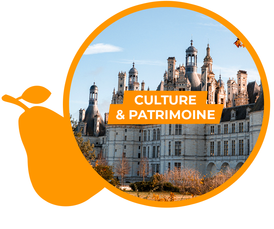 activite-culture