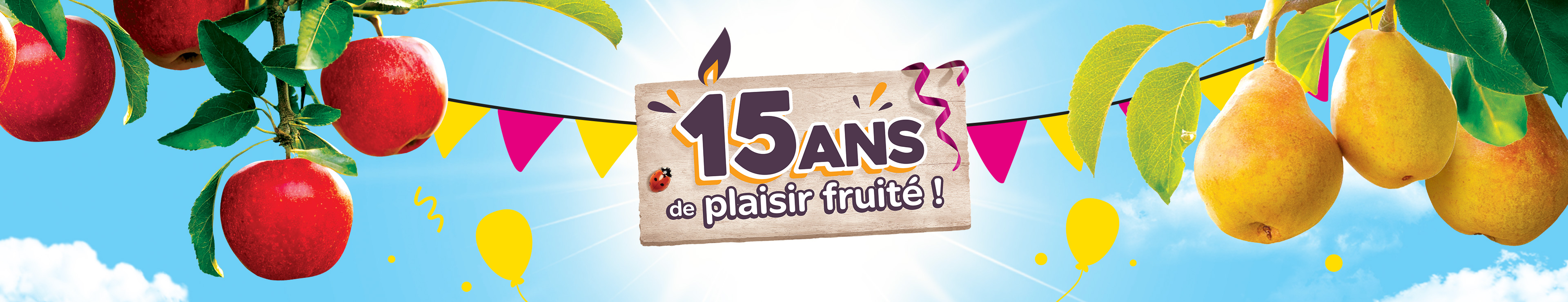banniere-header
