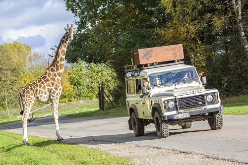 Serengetipark 500x333