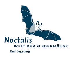 Logo_Noctalis