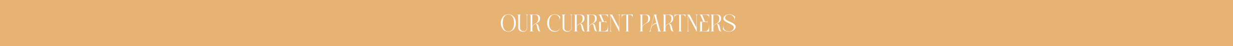 OUR CURRENT PARTNERS