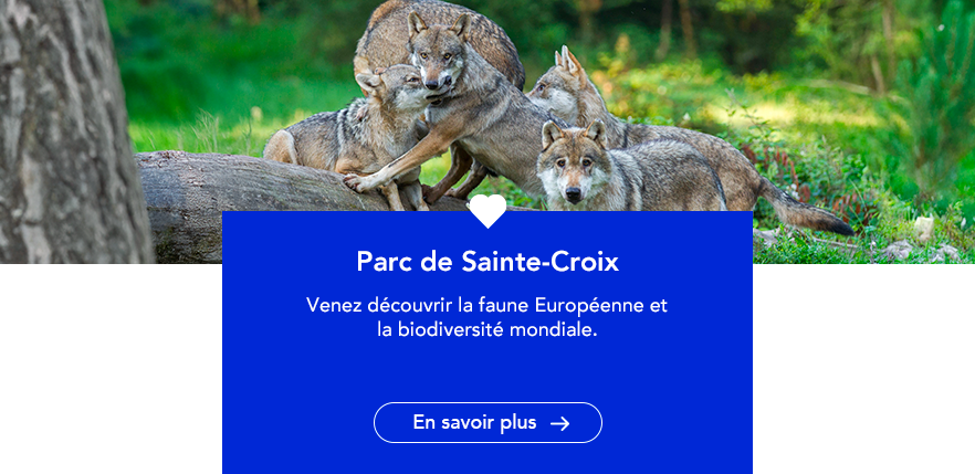 CDC_STE_CROIX