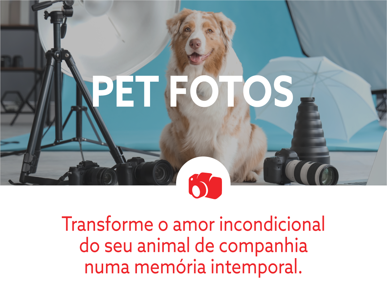 Card_PetFotos