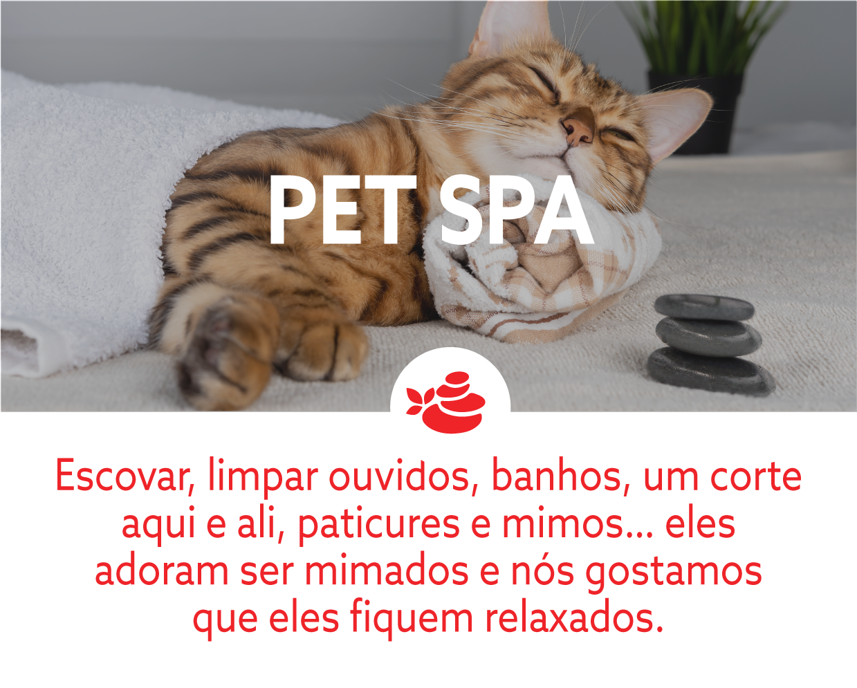 Card_PetSpa