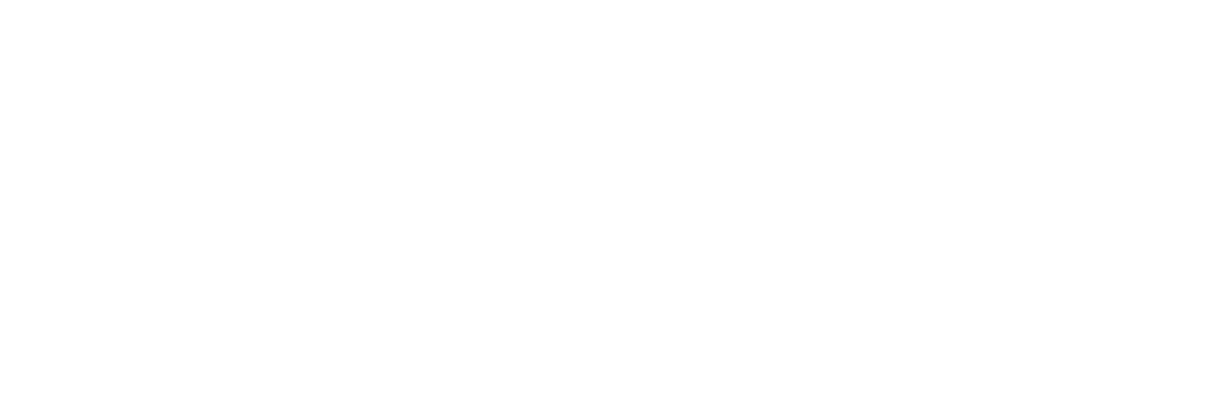 TRAVEL MAIN LOGO 2024 WHT@4x
