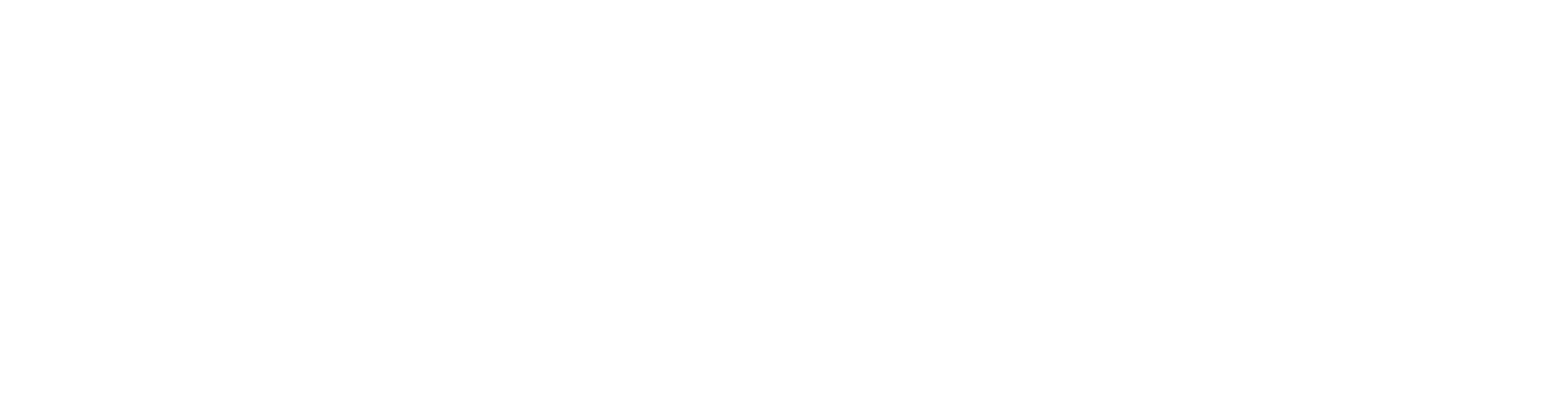 WELLNESS MAIN LOGO 2024 WHT@4x