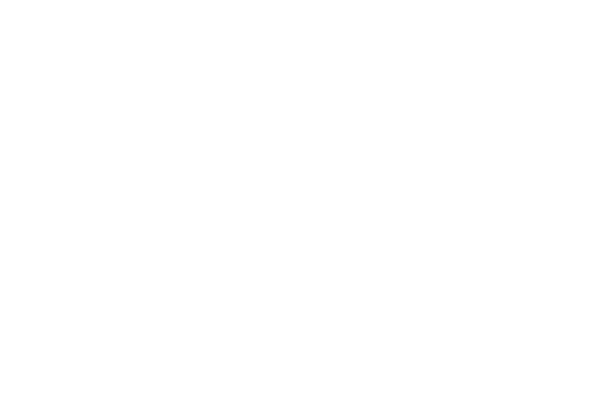 Castle Icon